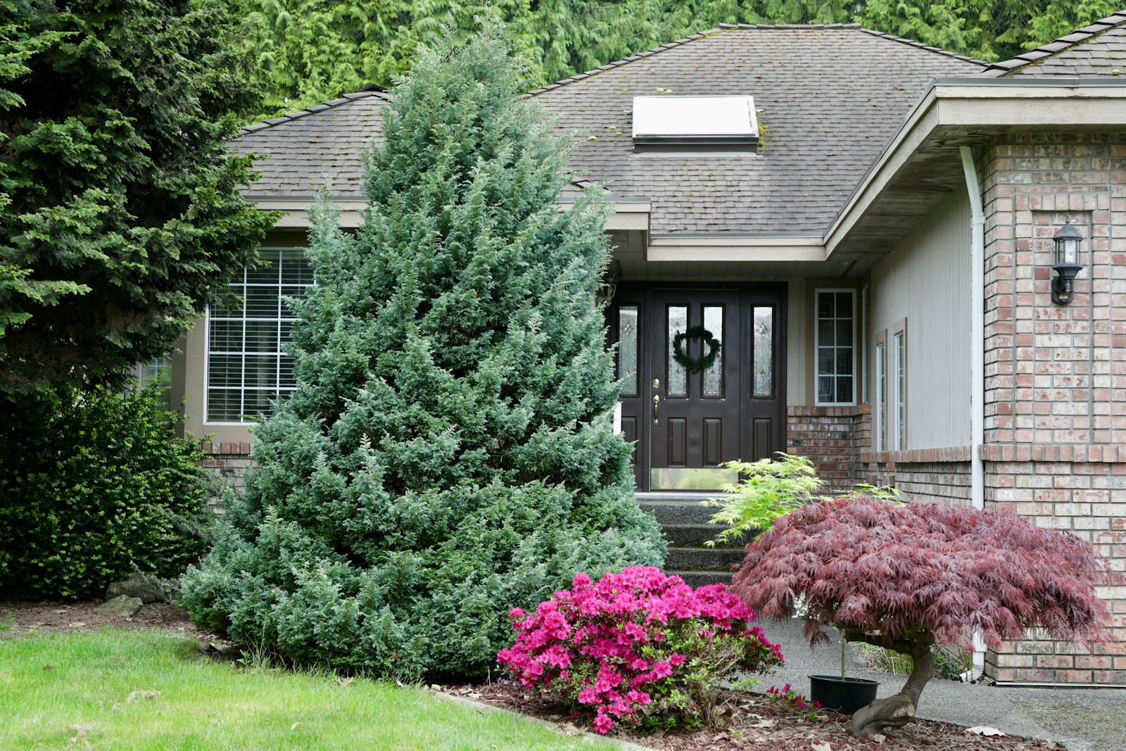 Beautiful Gainesville suburban home with pristine roof and clean exterior